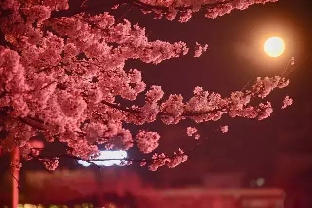 冷眼杀机 相关产品