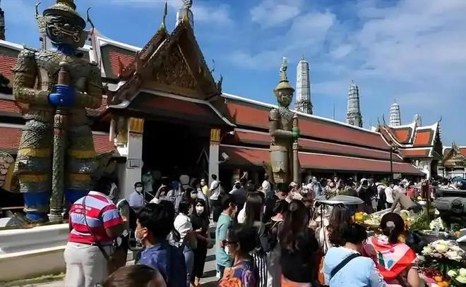 地窖藏恶 相关产品