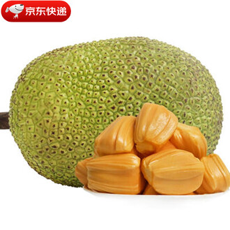 凶案清理员 推荐产品