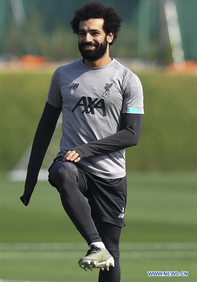 你的怪物 相关产品