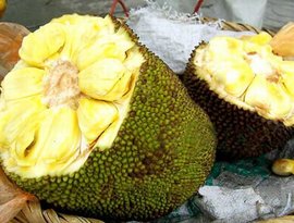 偷来的女儿 相关产品