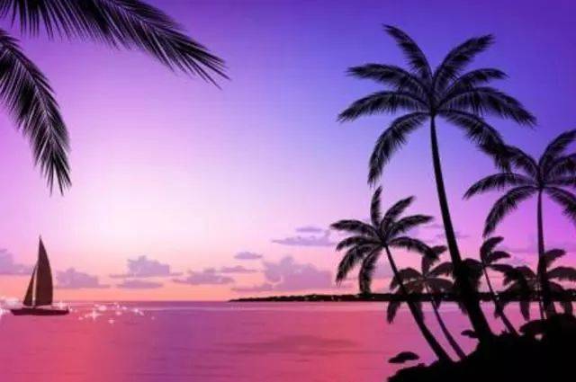 仙厨奇缘 相关产品