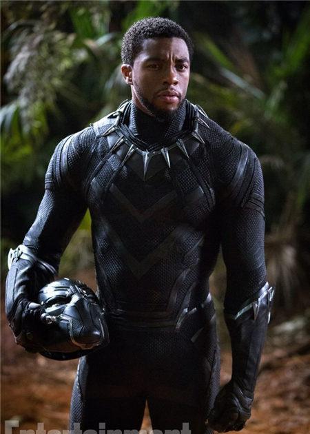 僵尸山雀 相关产品