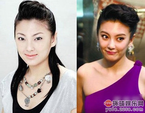 像小强一样活着 相关产品