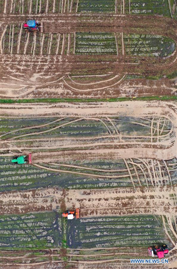 Confetti 产品主图