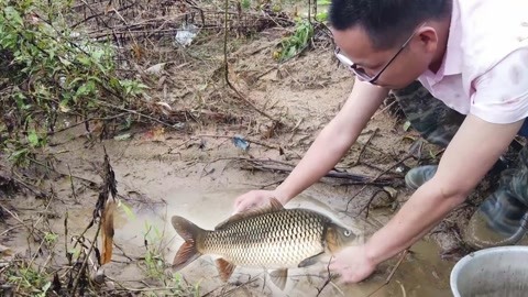 冰川鲨鱼 相关产品