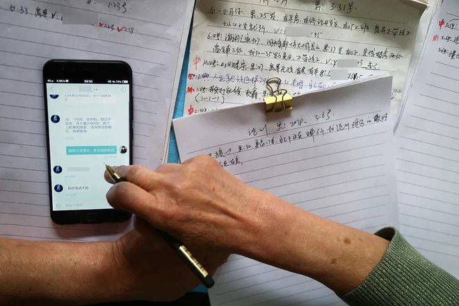 凤舞红尘 产品图片