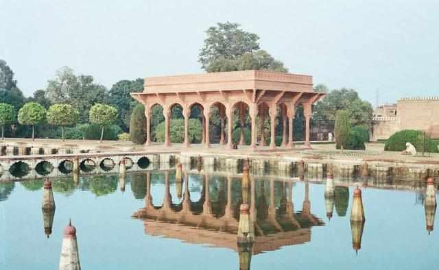 冬荫功 产品图片