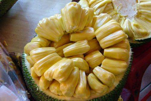 凯特的外遇日记 产品主图