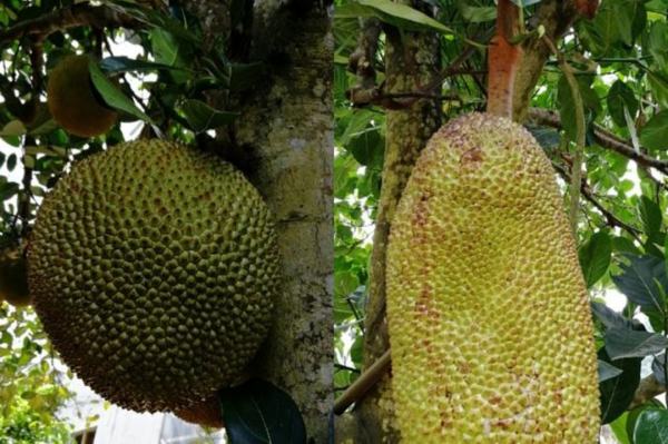 冲破黎明前的黑暗 相关产品