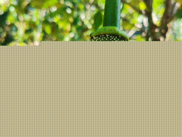 听见天堂 相关产品